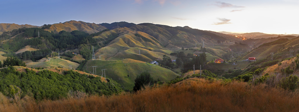 Takapu Valley - site of proposed NZTA new motorway (Feb 2014)