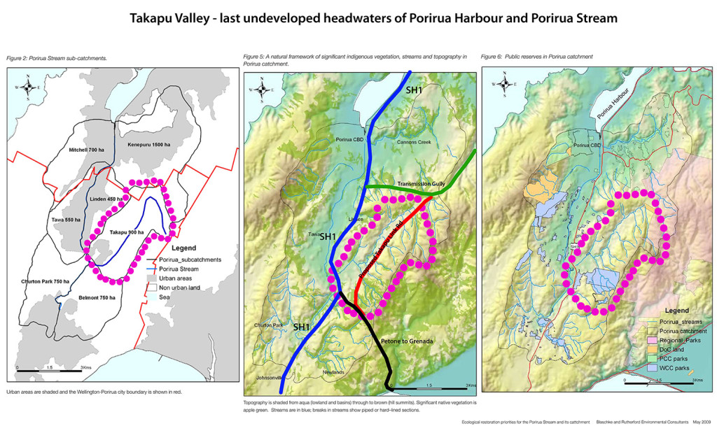 Takapu-Valley-Porirua-Stream-Headwaters_m