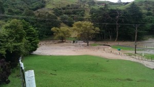 Flooding in Takapu Valley May 2015