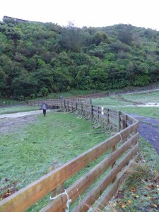 Flooding in Takapu Valley May 2015