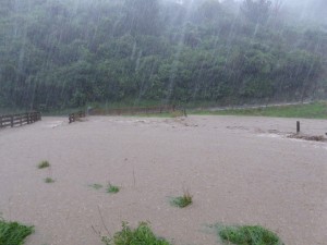 Flooding in Takapu Valley May 2015