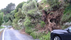 Flooding in Takapu Valley May 2015